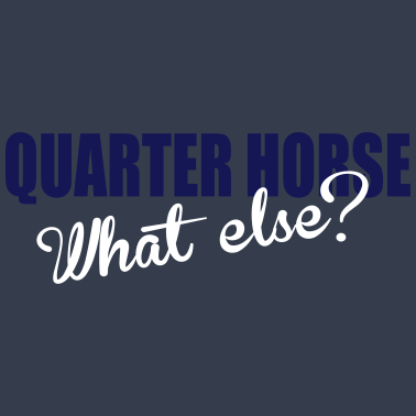 Motiv Quarter Horse- What else?
