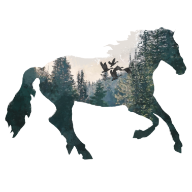 Motiv freiheit kon wald