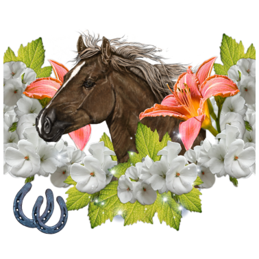 Motiv Pferdeshirt , Horse , Pferdekopf in Blumen