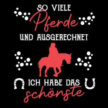 Motiv So viele Pferde und ich hab das schönste