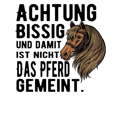 Motiv Lustiges Pferd | Reitsport | Reiter