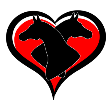 Motiv Pferd Pferde Reiter Reiten LIebe Herz Tiere