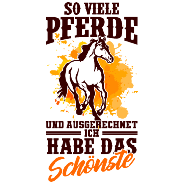Motiv Ich habe das schönste Pferd