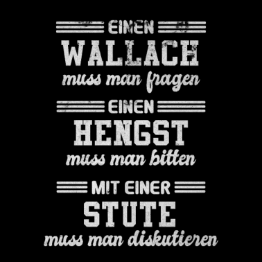 Motiv Pferde Wallach Hengst Stute Pferderassen Pferd