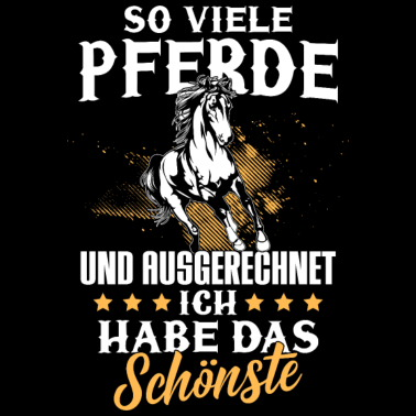 Motiv So viele Pferde und ich habe das Schönste