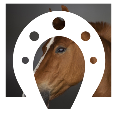 Motiv PFERD Pferde Hufeisen