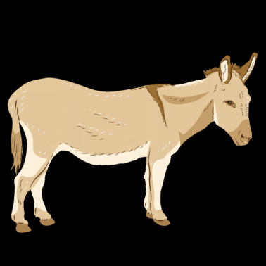 Motiv esel kleines pferd dummkopf zirkus tier ponny zoo