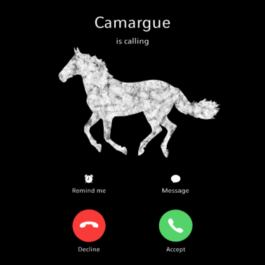 Motiv Mein Camargue ruft an Pferde Shirt Geschenk Pferd