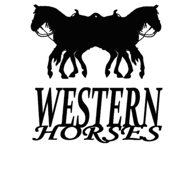 Motiv Pferd Pferde Westernreiten