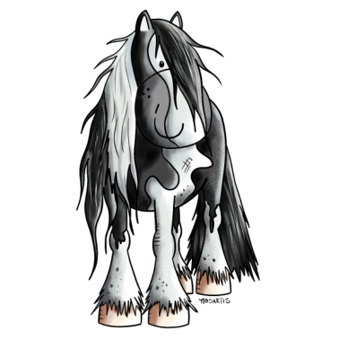 Motiv Fescher Irish Tinker