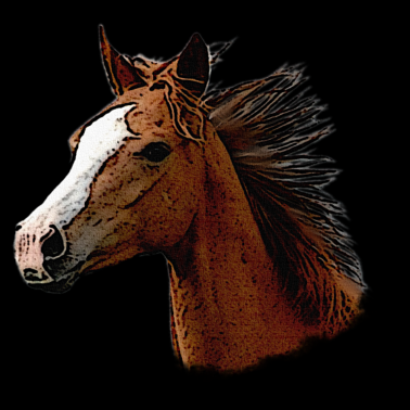 Motiv Braunes Pferd, Pferd Kopf