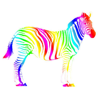 Motiv Zebra Afrika Regenbogen bunt Safari Sommer magisch