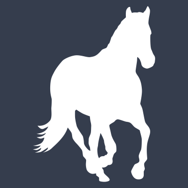 Motiv Pferd Pony Wildpferd