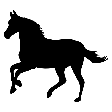 Motiv Pferd Pony Reiten