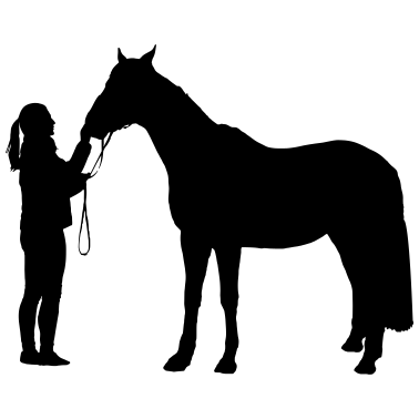 Motiv Pferd - Reiterin - Pferde - Reiten - schwarz