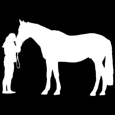 Motiv Pferd mit Frau - reiten - sport - tiere - pferde