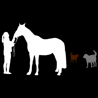 Motiv Frau mit Pferd und Hunden