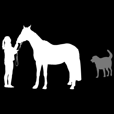 Motiv Pferd mit Reiterin und Hund