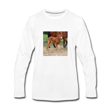 Pferde Langarmshirt - Pferd Fohlen reiten Reitsport Pferdeposter Geschen