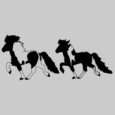 Motiv 2 Islandpferde Schecken