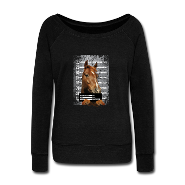 Pferde Langarmshirt - Pferd Pferde Geschenk Gefängnis Lustig