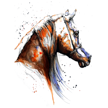 Motiv PFERD ,PFERDE - arabisches Pferd Pferdekunst