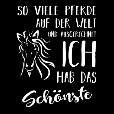 Motiv So viele Pferde auf der Welt ich hab das Schönste