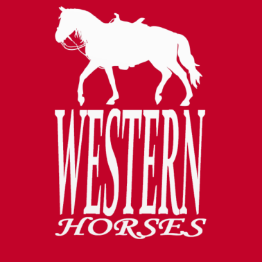 Motiv Pferd Western Westernreiten Pferde