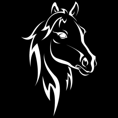 Motiv Pferd Pferd Pferd Pferd