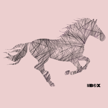 Motiv Pferde Western Reiten Pferd Pony