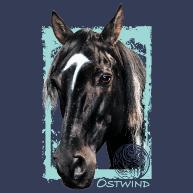 Motiv Ostwind Aris Ankunft Pferd Ostwind Porträt