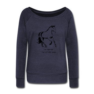 Pferde Pullover - horse lover