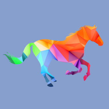 Motiv Reiterin Reiter Reitersprüche Muster Bunt