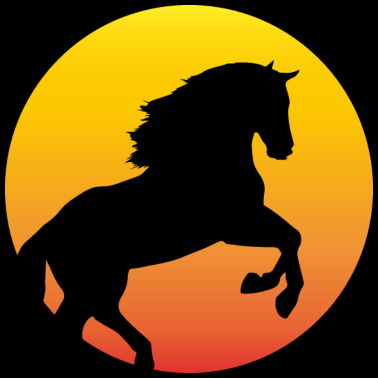 Motiv Pferd Hengst Sonne Sonnenuntergang