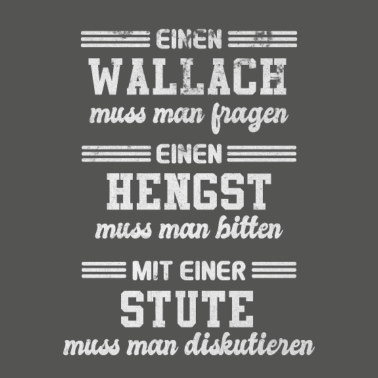 Motiv Pferde Wallach Hengst Stute Pferderassen Pferd