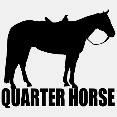 Motiv Quarter Horse
