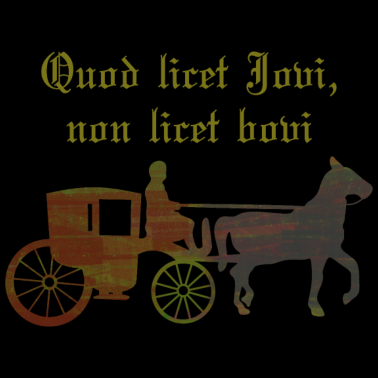 Motiv Lateinischer Kutscher Spruch