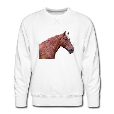 Pferde Pullover - Pferdekopf Pferde Spruch Dressurpferd Pferderasse