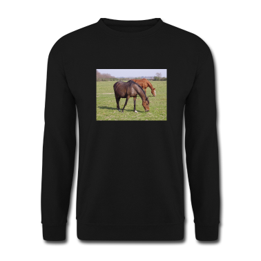 Pferde Pullover - Pferde