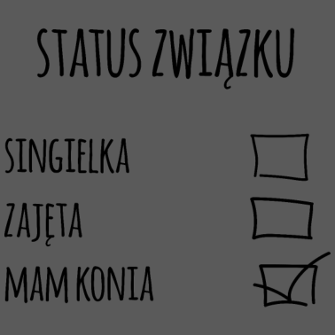 Motiv Single, Pferd, Beziehung, Pferde, Polnisch, Koń