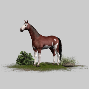 Motiv Pferd - braunes Pferd