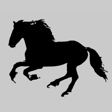 Motiv FRYZYJSKI PFERD - Pferd Pferde