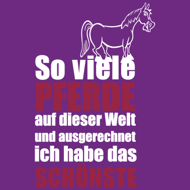 Motiv Das schönste Pferd