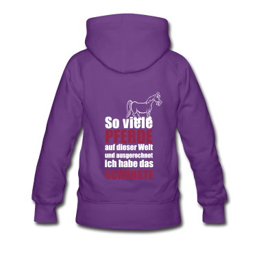 Pferde Hoodie - Das schönste Pferd