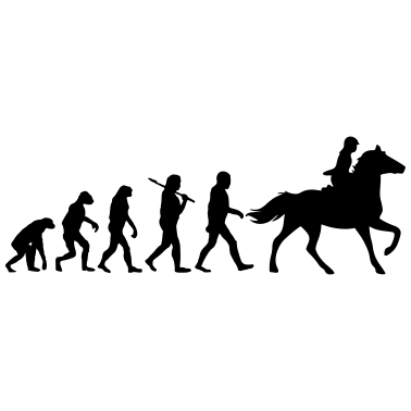 Motiv Evolution of Reiten