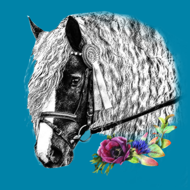 Motiv Schwarzwaelder Fuchs