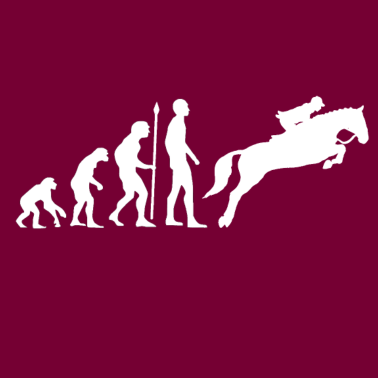 Motiv Reiterin Evolution Springreiten Pferde