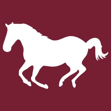 Motiv Pferd Pony Galopp