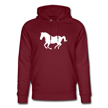 Pferde Hoodie - Pferd Pony Galopp