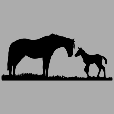 Motiv Pferde, Pferd & Fohlen